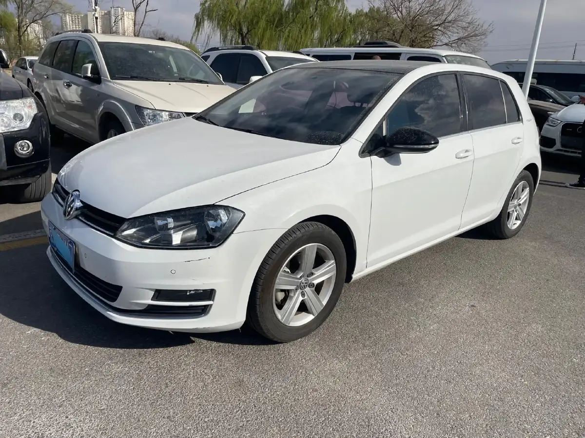 2017 Volkswagen Golf 1.6L 110HP L4 6AT