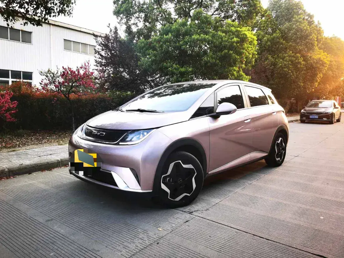 2021 BYD Dolphin BEV 44.9KWH