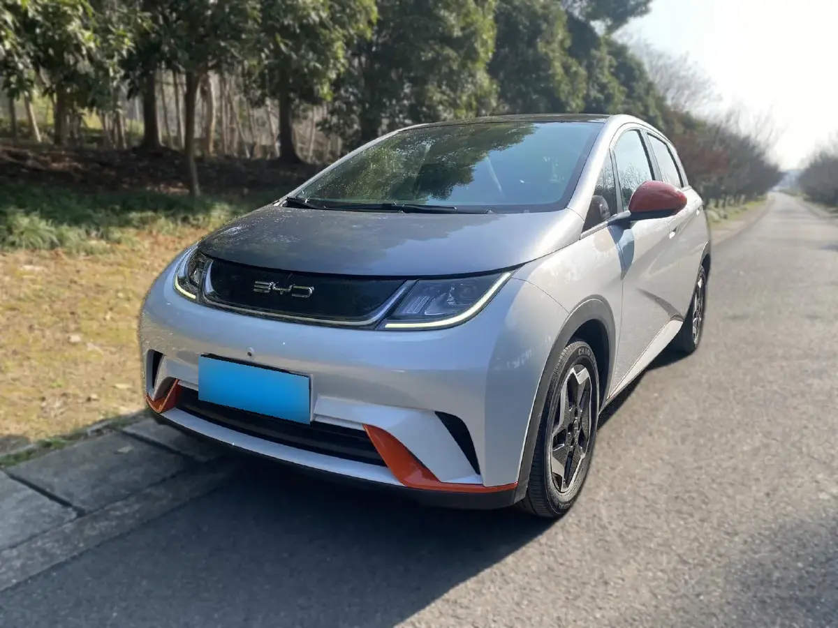 2021 BYD Dolphin BEV 44.9KWH