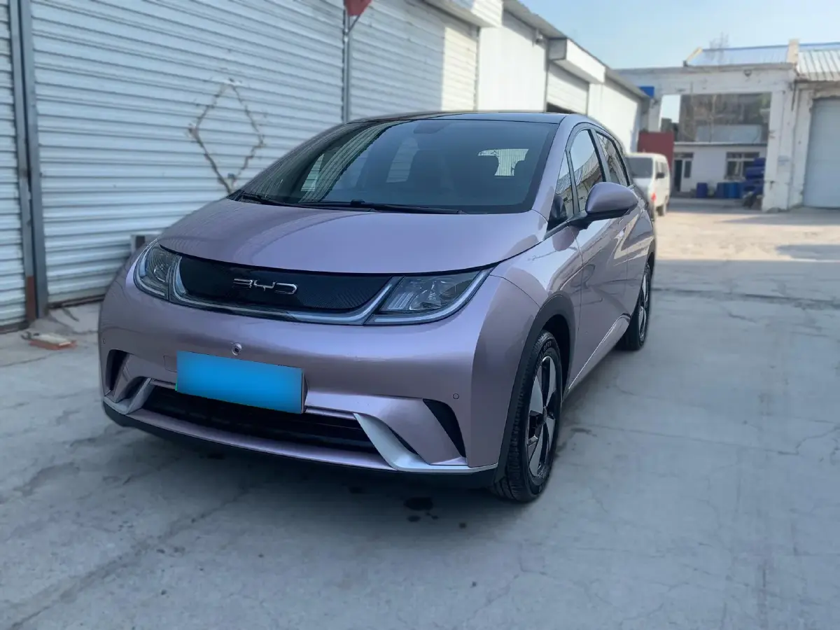 2023 BYD Dolphin BEV 44.928KWH