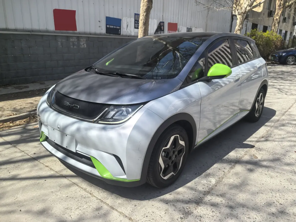 2021 BYD Dolphin BEV 44.9KWH