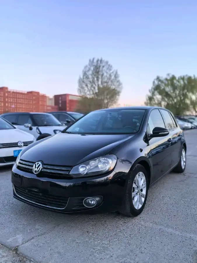 2010 Volkswagen Golf 1.4T 131HP L4 7DCT