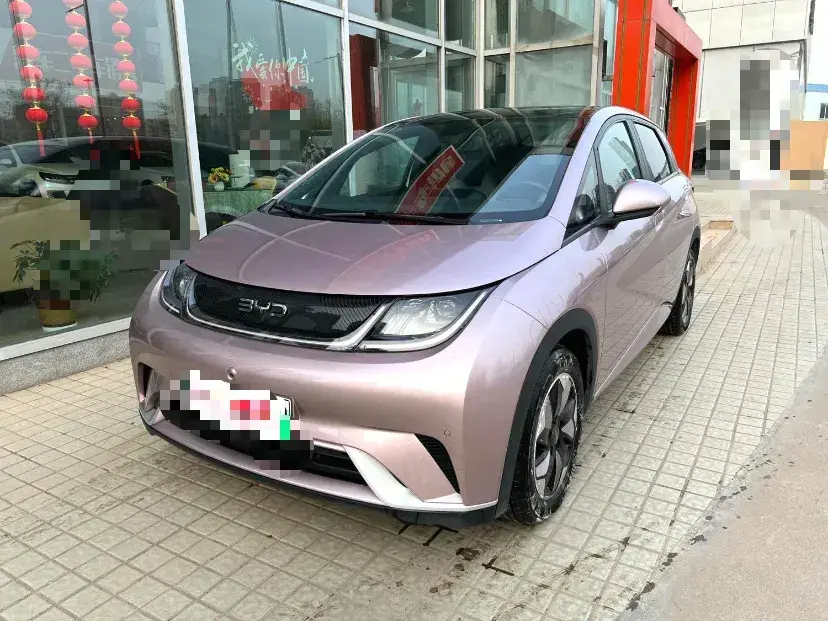 2024 BYD Dolphin BEV 44.928KWH