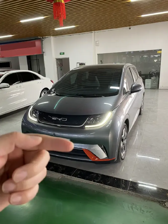 2021 BYD Dolphin BEV 44.9KWH