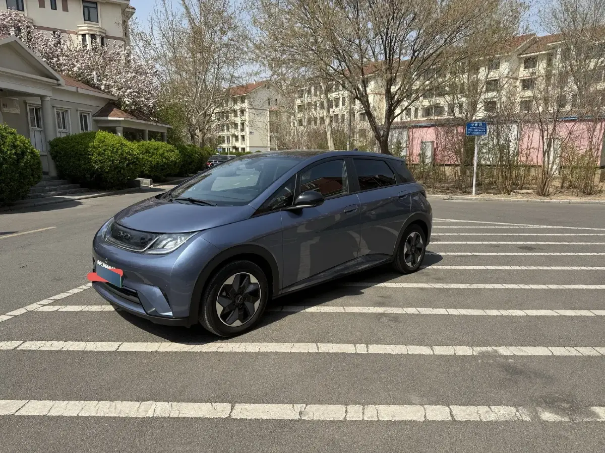 2024 BYD Dolphin BEV 44.928KWH