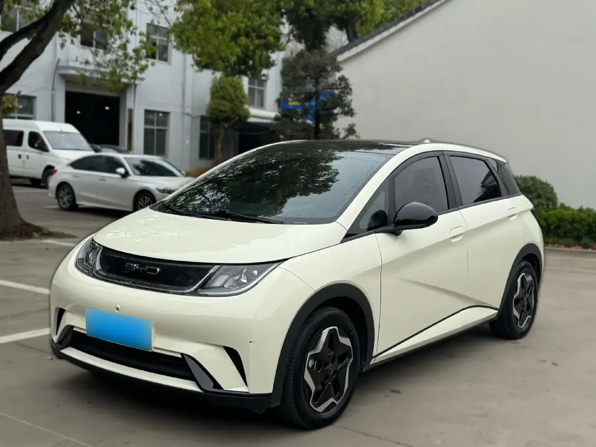 2021 BYD Dolphin BEV 44.9KWH