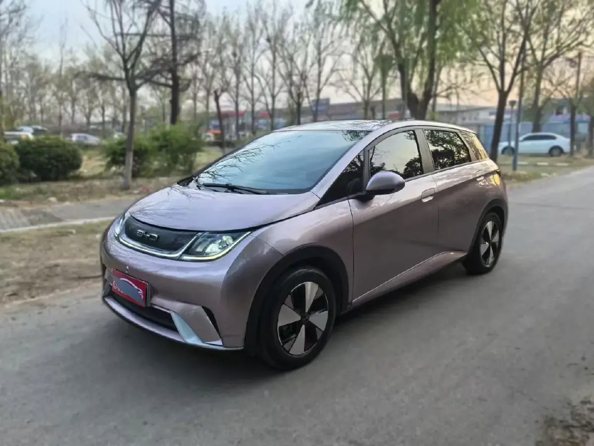 2023 BYD Dolphin BEV 44.928KWH