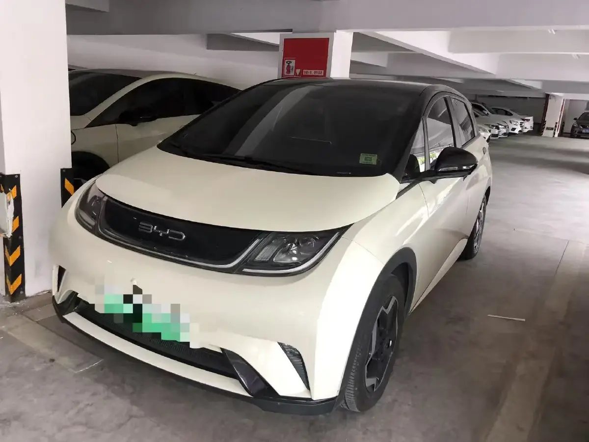 2021 BYD Dolphin BEV 44.9KWH