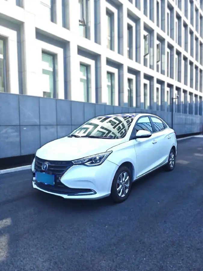 2009 ChangAn Alsvin 1.5L 98HP L4 5MT
