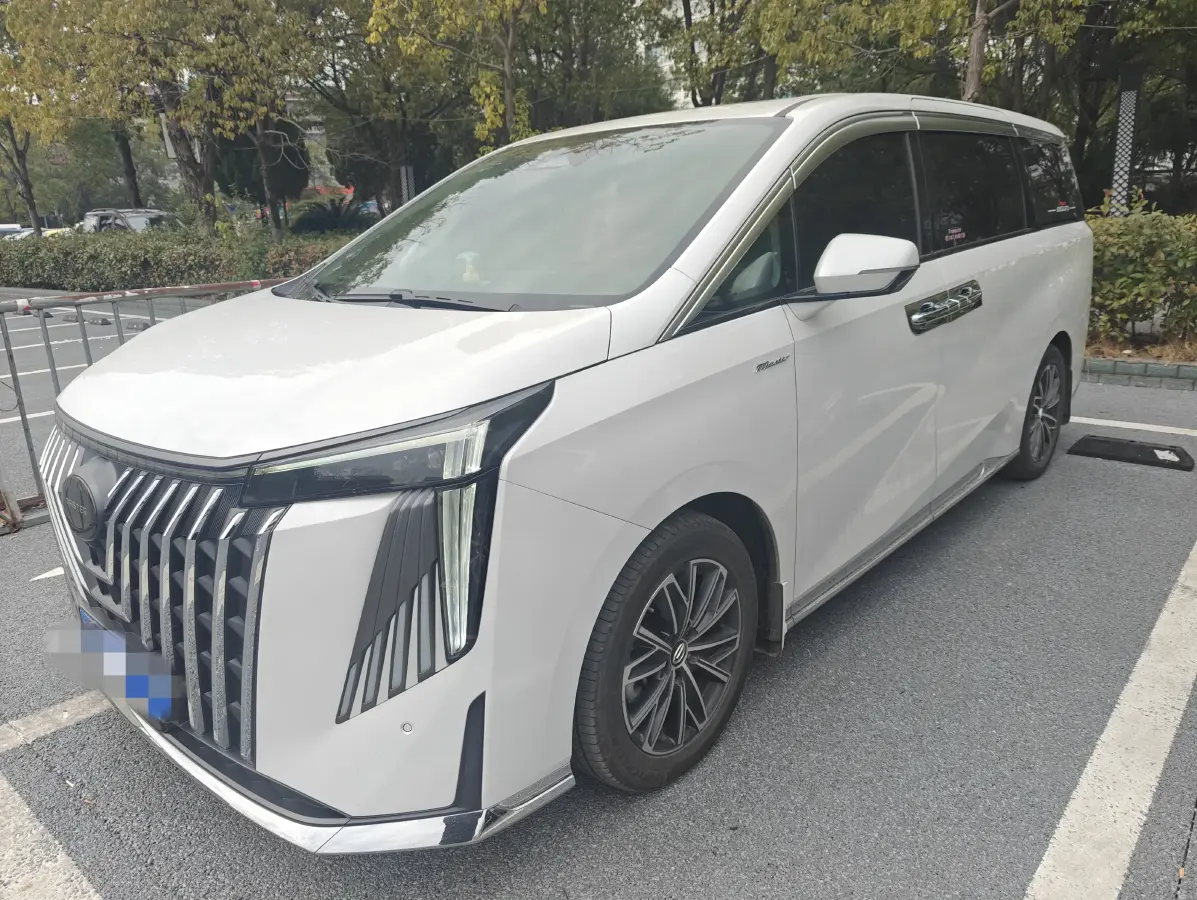 2023 GAC Trumpchi M8 2.0T 252HP L4 8AT