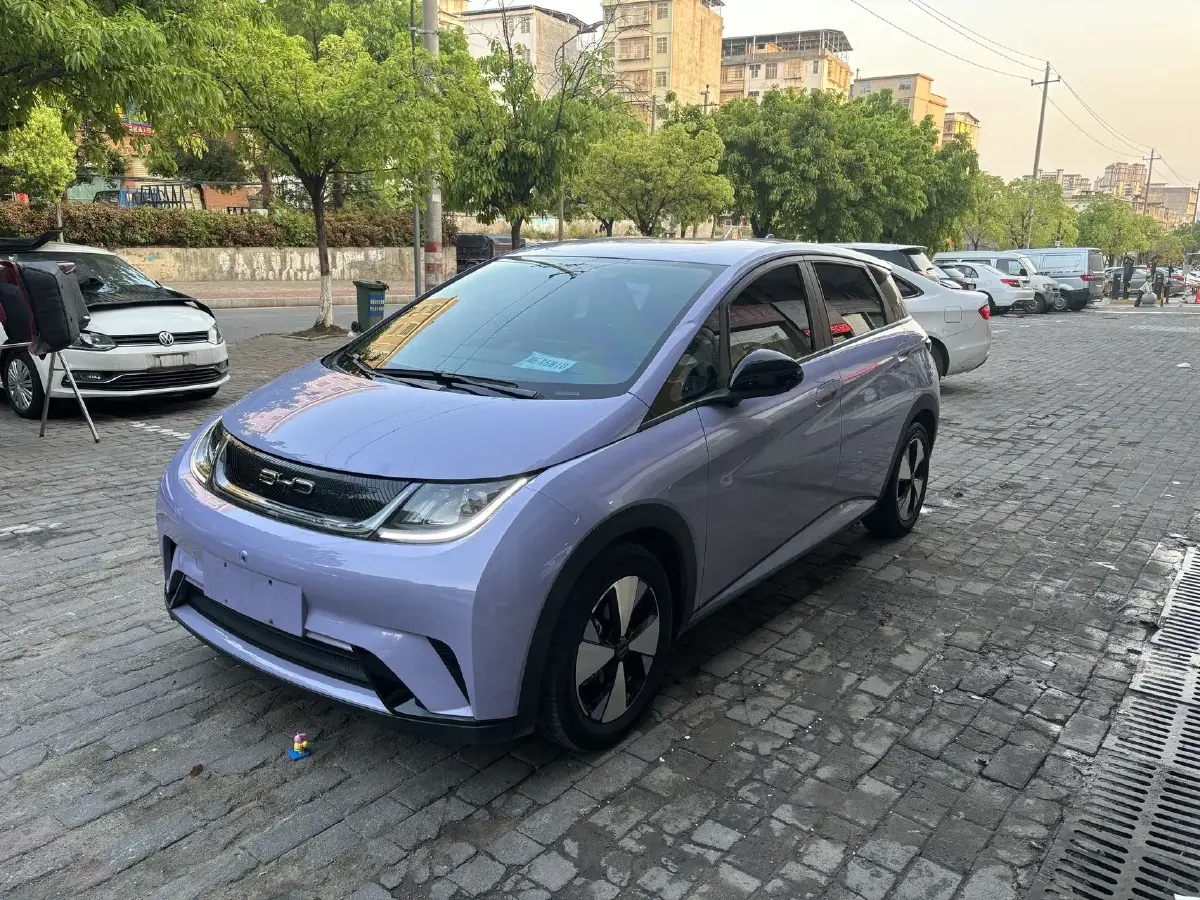 2023 BYD Dolphin BEV 44.928KWH