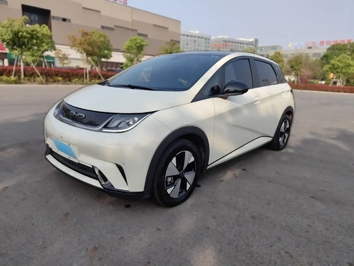2023 BYD Dolphin BEV 44.928KWH