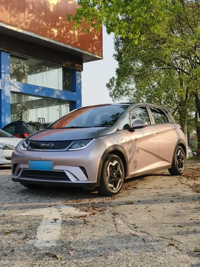 2021 BYD Dolphin BEV 44.9KWH