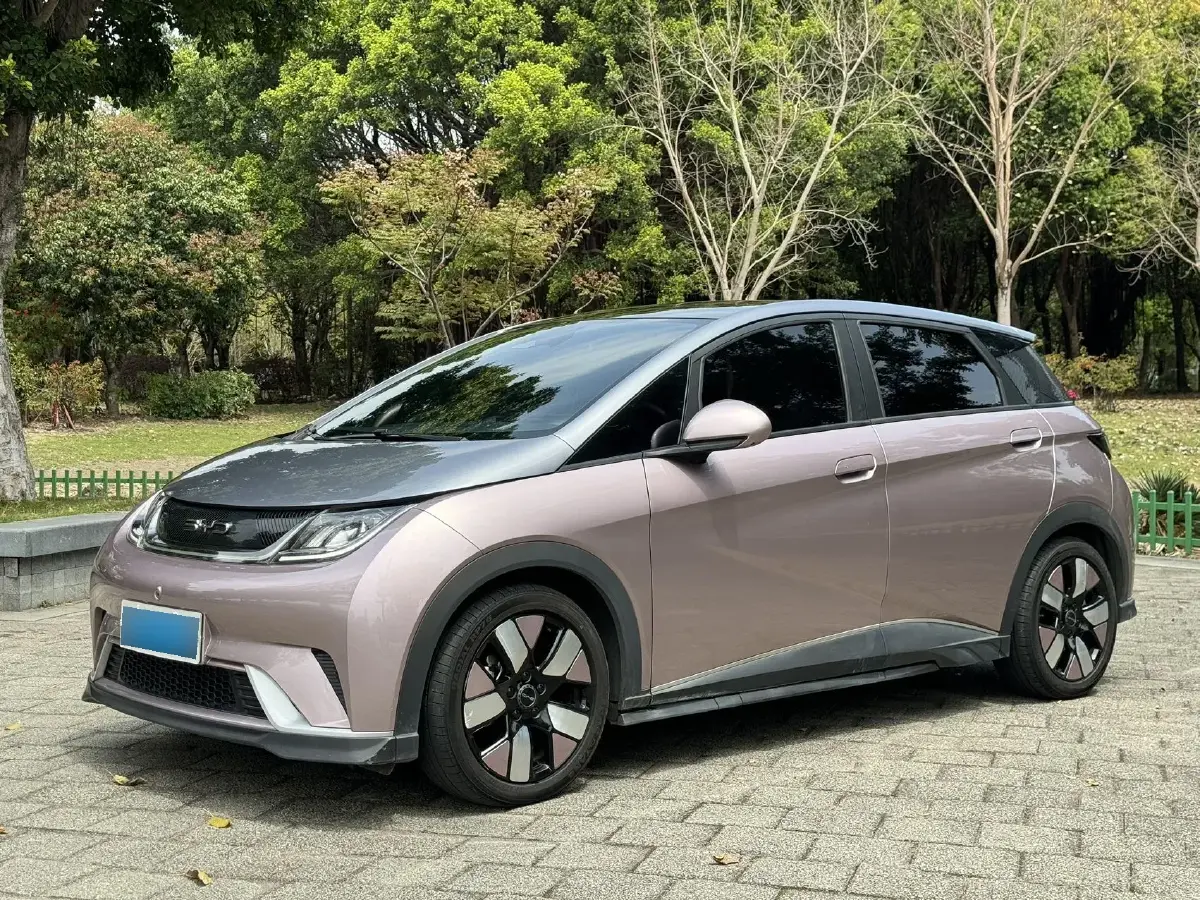 2021 BYD Dolphin BEV 44.9KWH