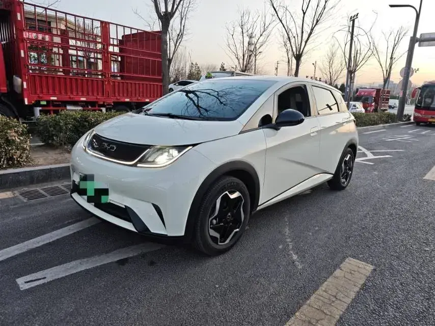 2025 BYD Dolphin BEV 44.928KWH