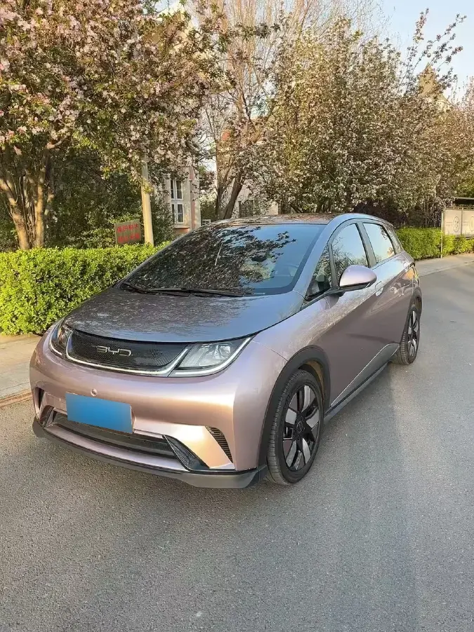 2023 BYD Dolphin BEV 44.928KWH