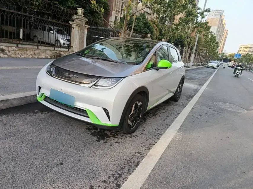 2021 BYD Dolphin BEV 44.9KWH