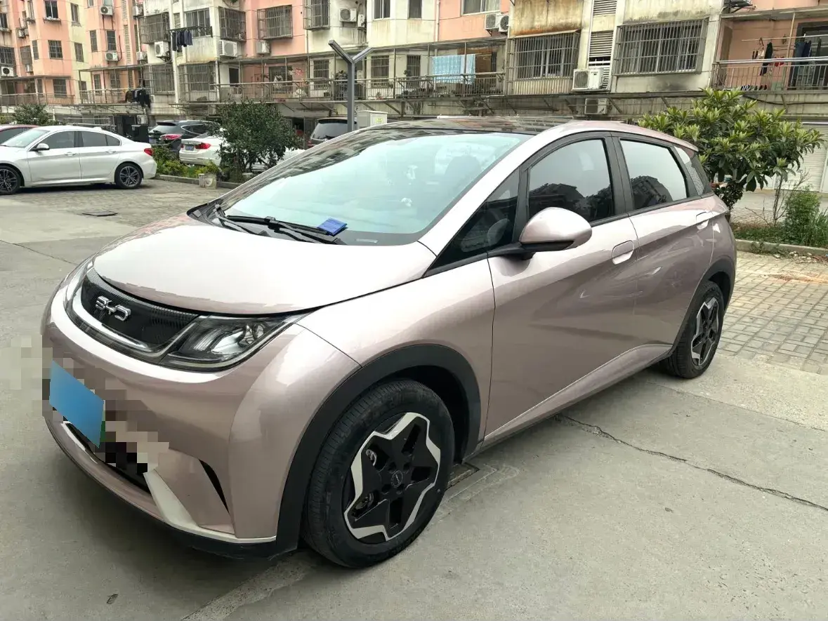 2021 BYD Dolphin BEV 44.9KWH