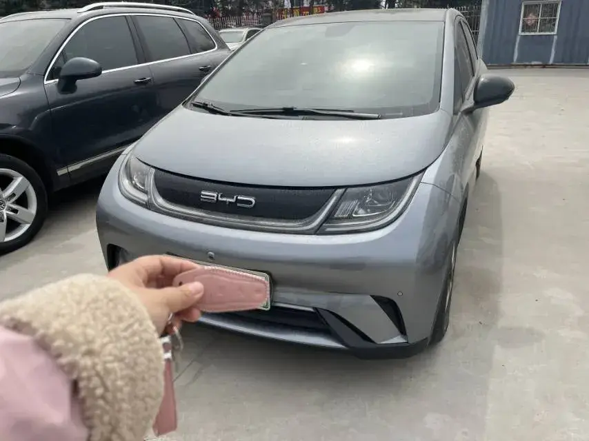 2023 BYD Dolphin BEV 44.928KWH