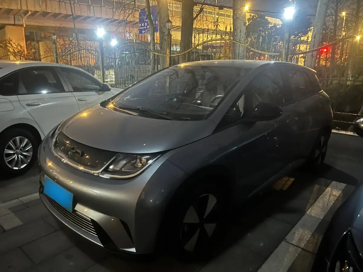 2023 BYD Dolphin BEV 44.928KWH