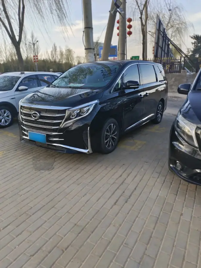 2023 GAC Trumpchi M8 2.0T 252HP L4 8AT