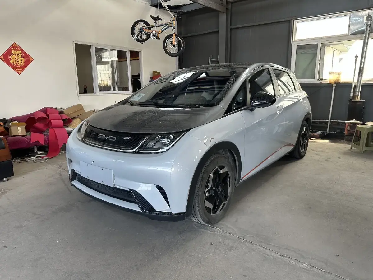 2021 BYD Dolphin BEV 44.9KWH