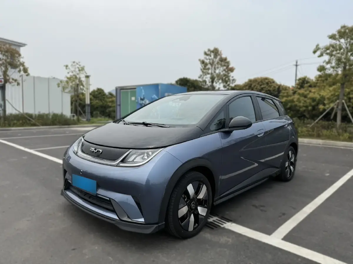 2024 BYD Dolphin BEV 44.928KWH 2024 BYD Dolphin BEV 44.928KWH