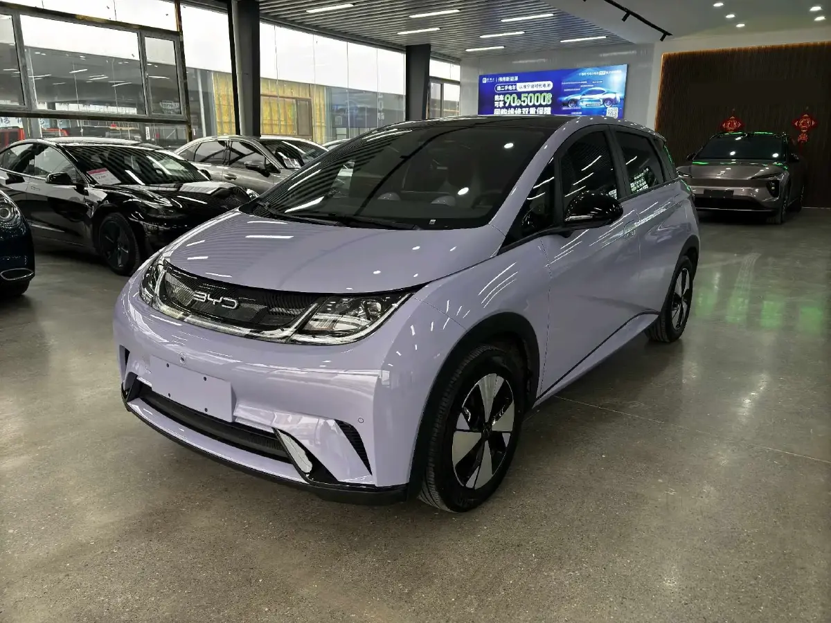 2023 BYD Dolphin BEV 44.928KWH