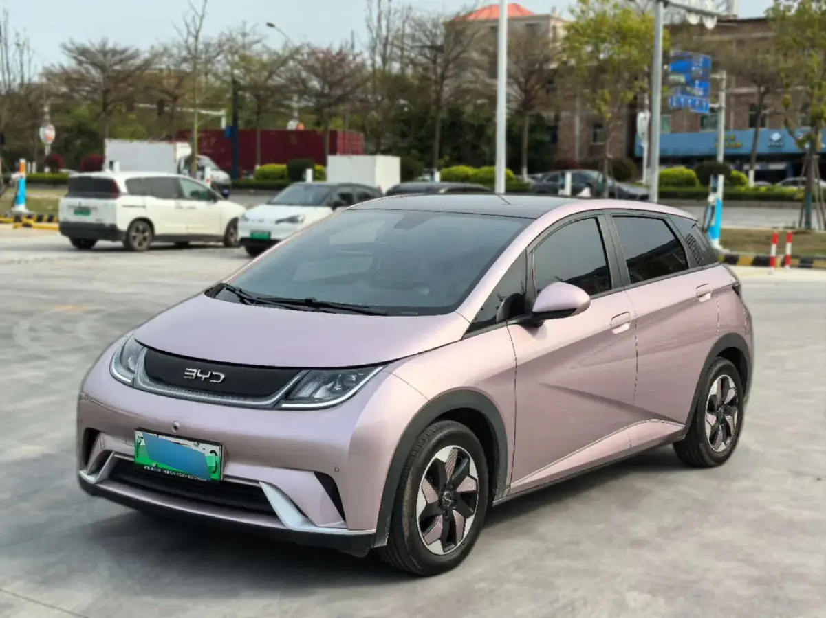 2024 BYD Dolphin BEV 44.928KWH
