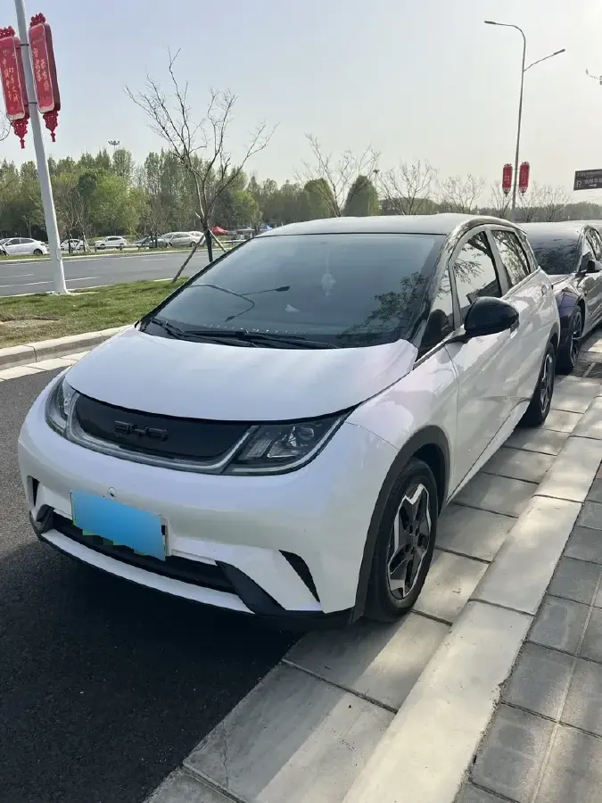 2021 BYD Dolphin BEV 44.9KWH