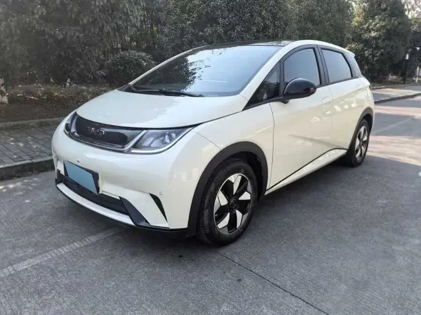 2024 BYD Dolphin BEV 44.928KWH
