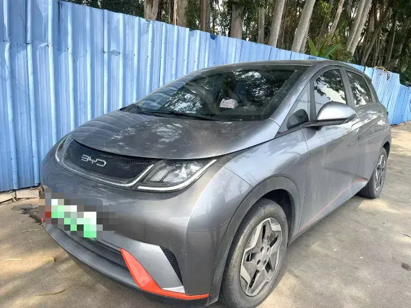 2021 BYD Dolphin BEV 44.9KWH
