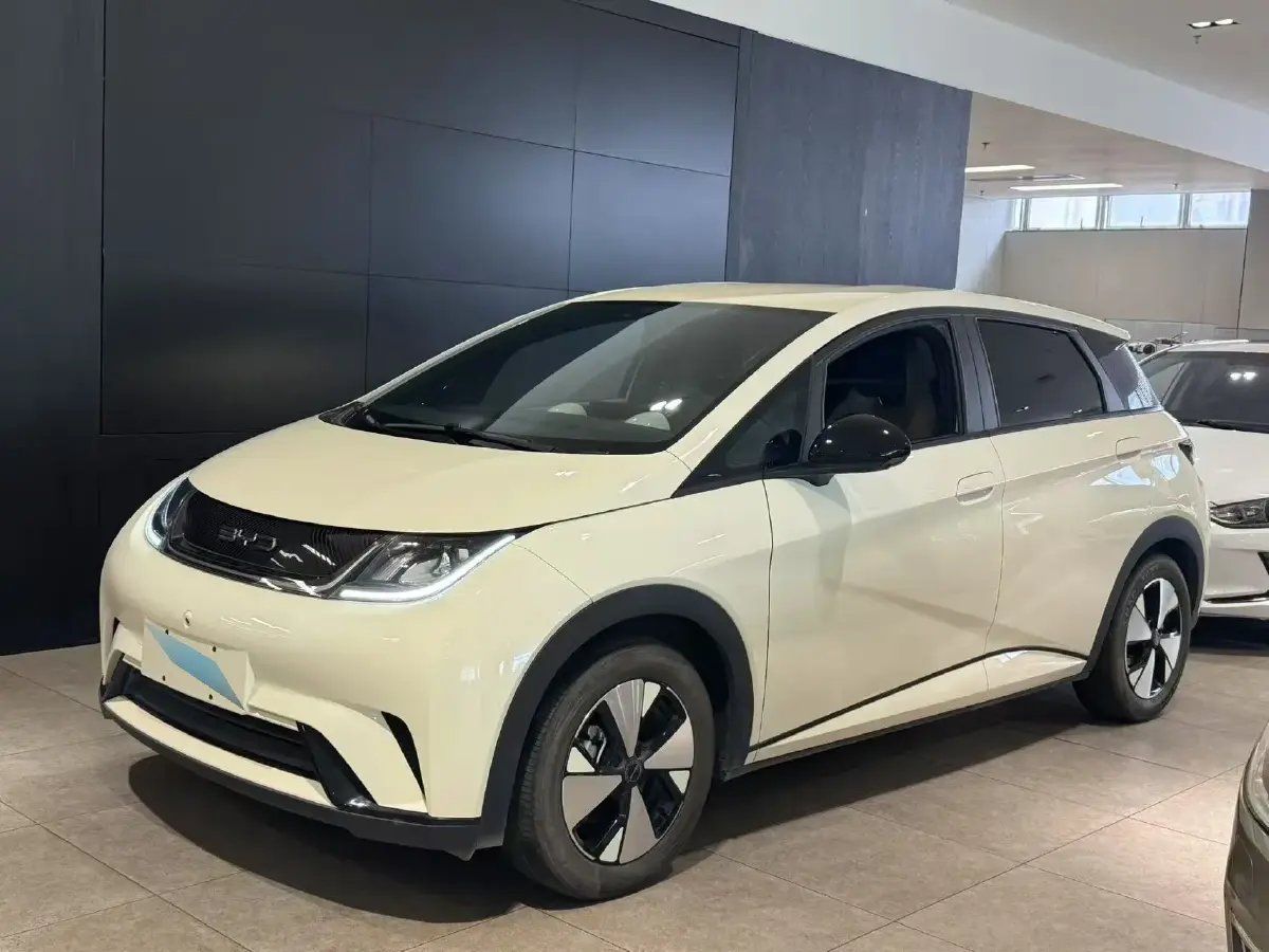 2023 BYD Dolphin BEV 44.928KWH