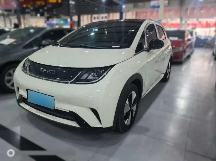 2021 BYD Dolphin BEV 44.9KWH