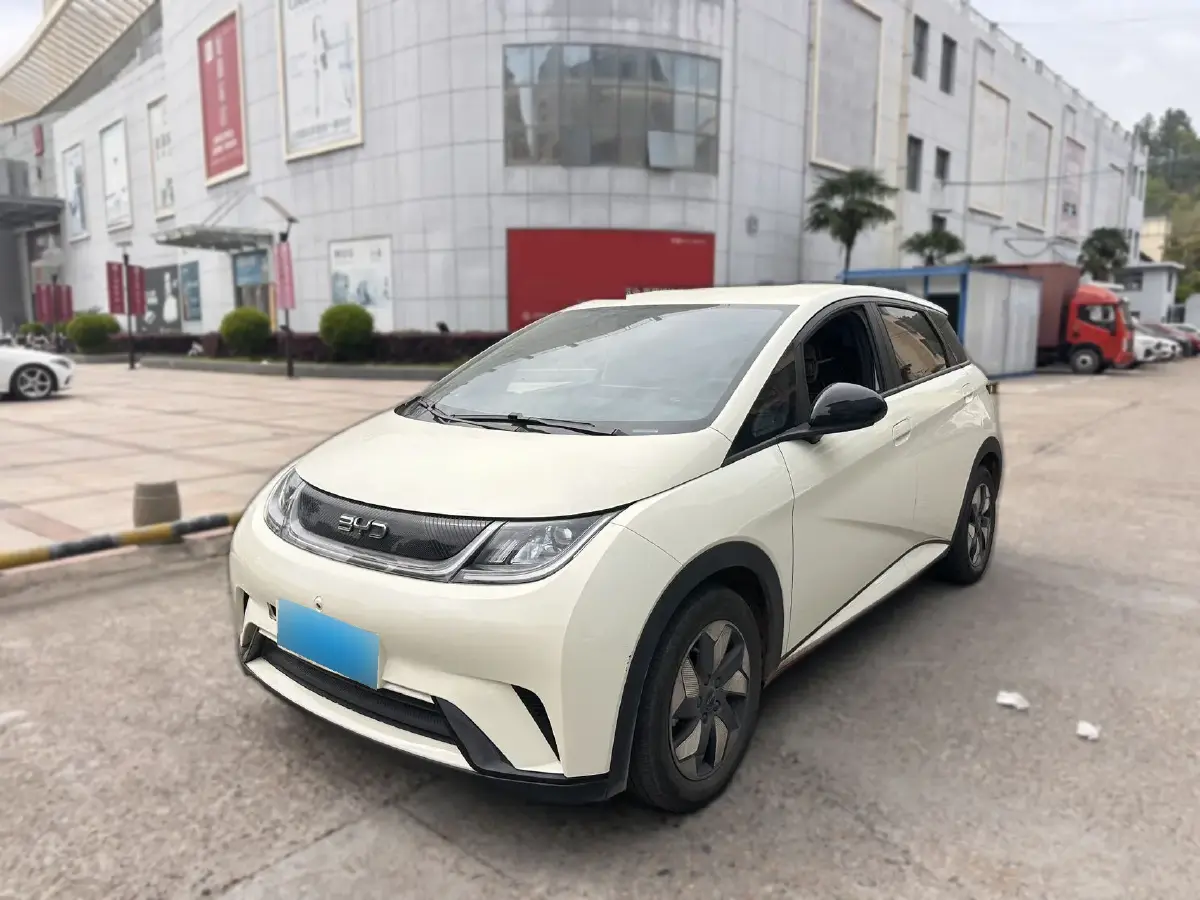2024 BYD Dolphin BEV 44.928KWH