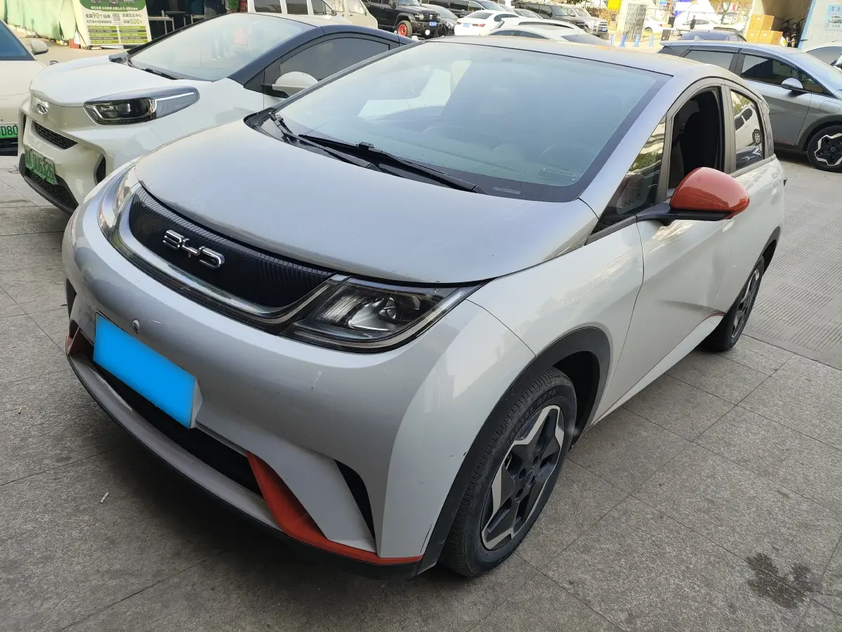 2021 BYD Dolphin BEV 44.9KWH