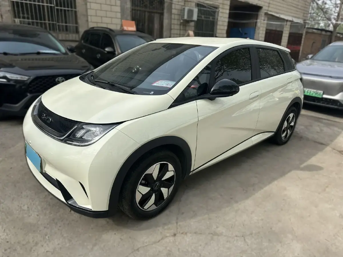 2025 BYD Dolphin BEV 44.928KWH