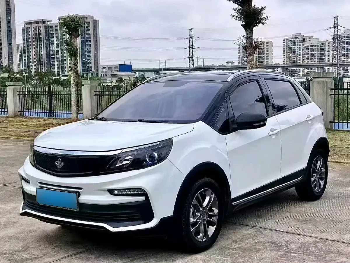 2020 Livan Maple 30X BEV 37KWH