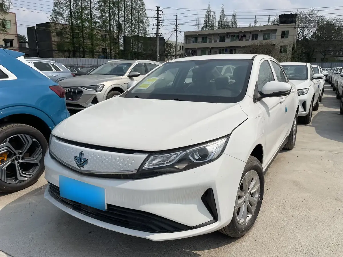 2022 Livan Maple 60s BEV 52.56KWH