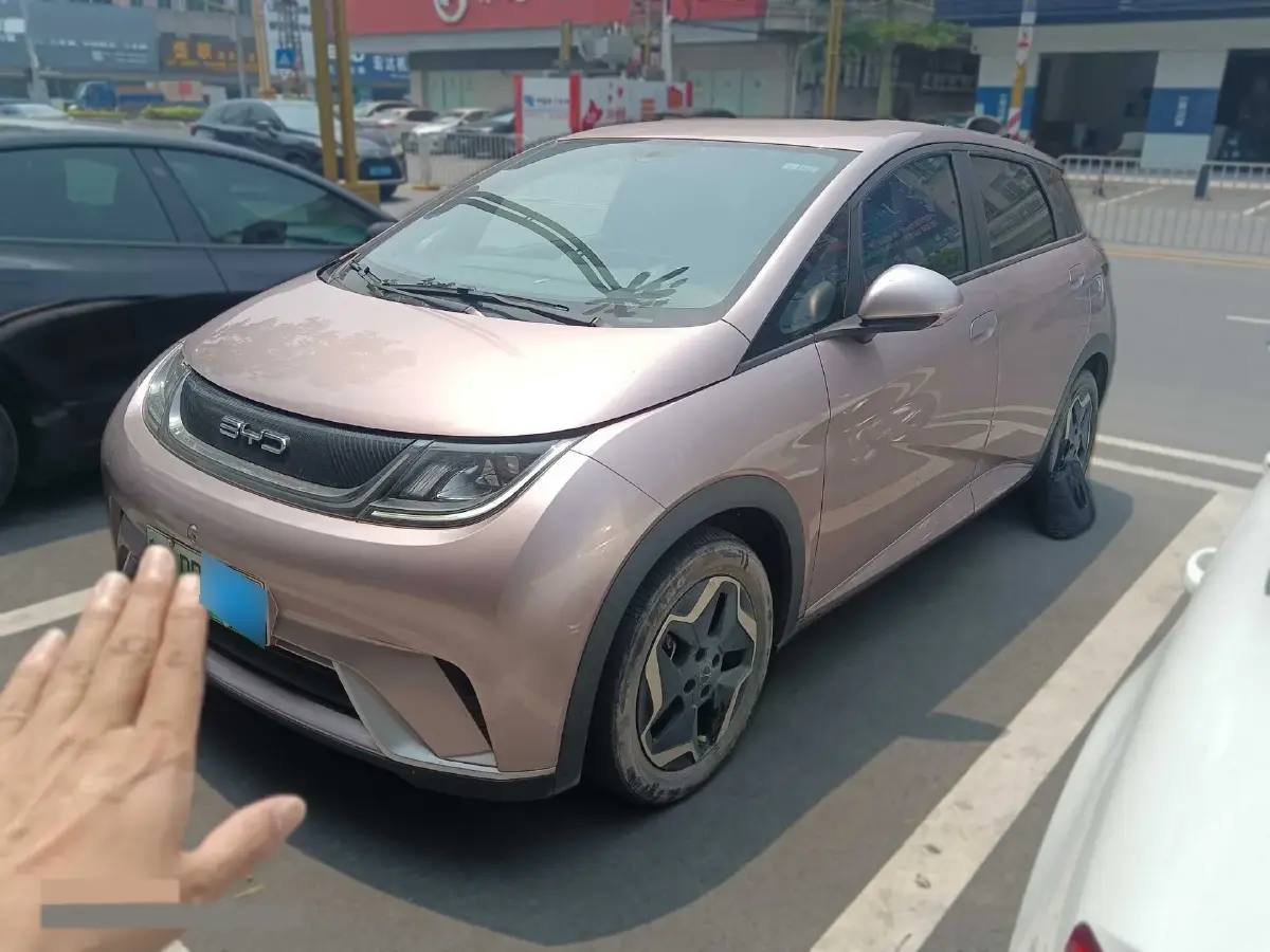 2021 BYD Dolphin BEV 44.9KWH