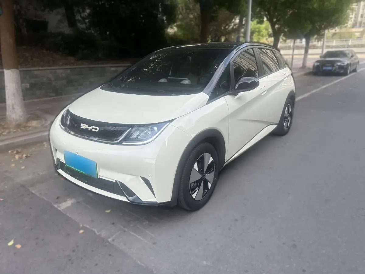 2023 BYD Dolphin BEV 44.928KWH