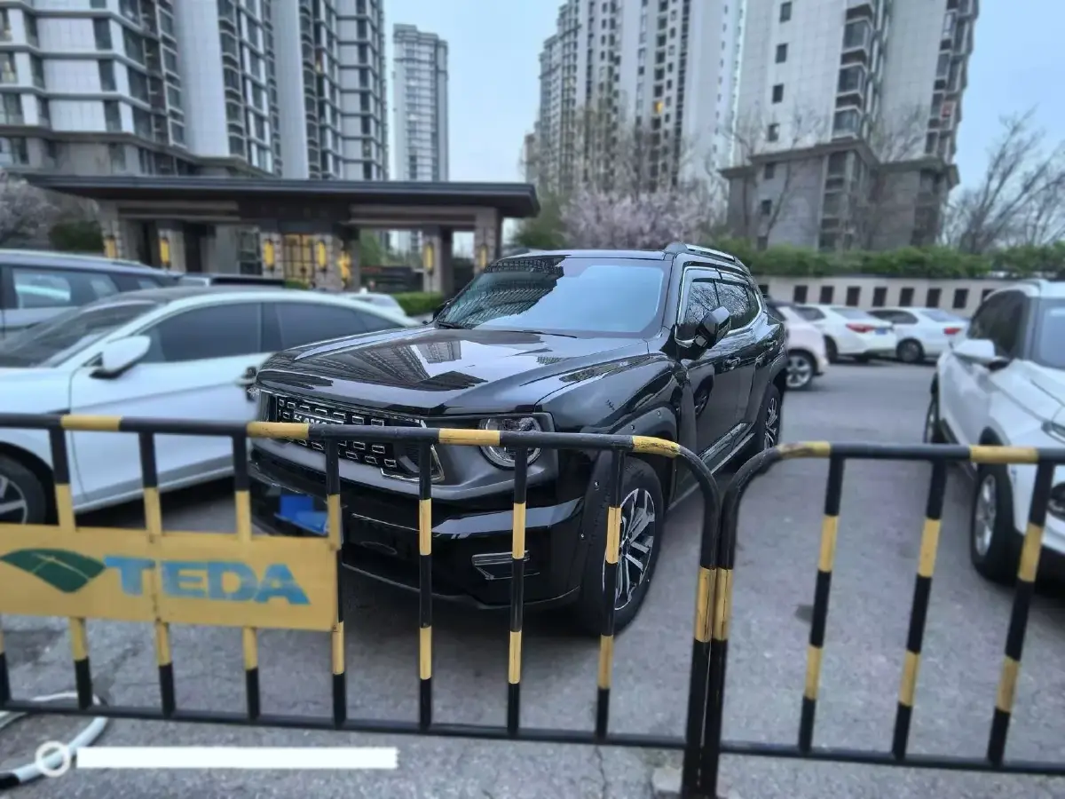 2023 Haval Dargo 2 2.0T 238HP L4 9DCT