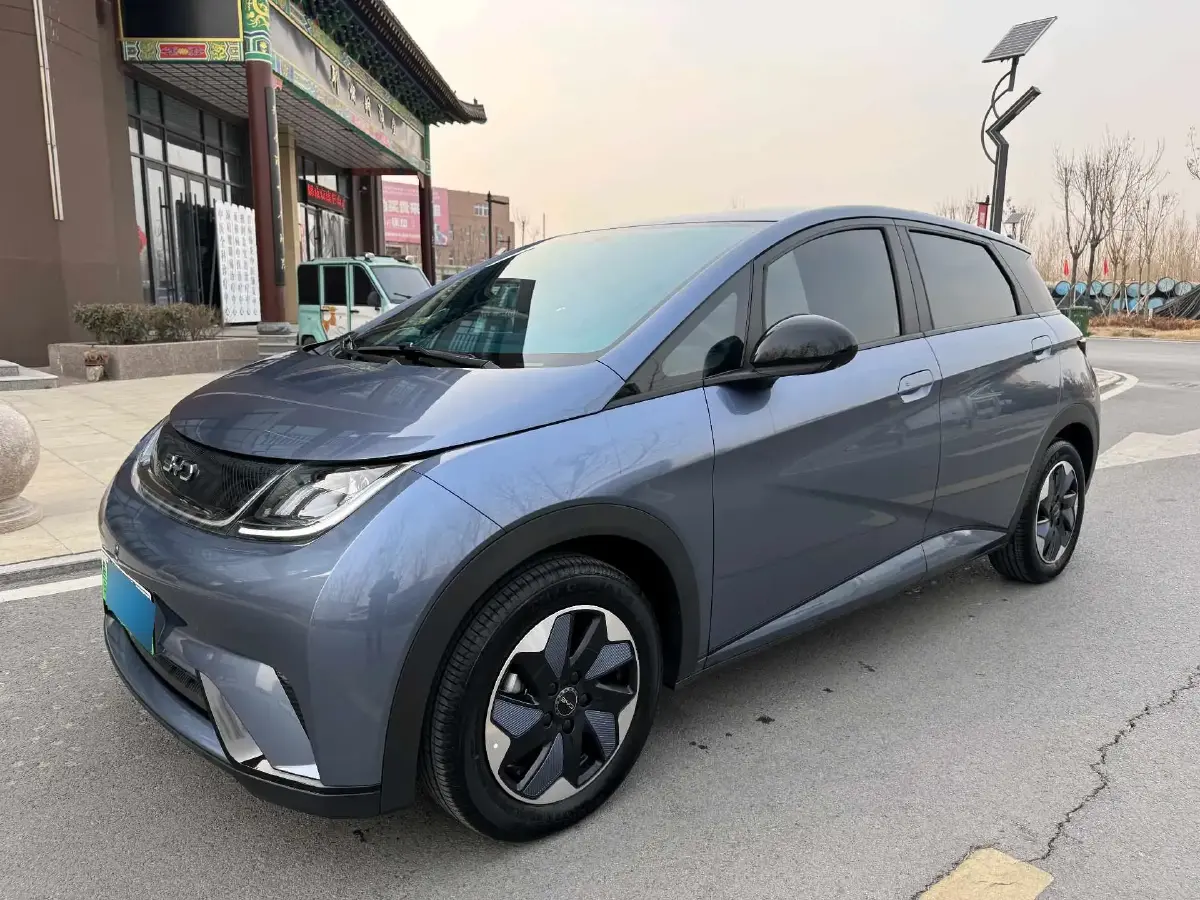 2024 BYD Dolphin BEV 44.928KWH
