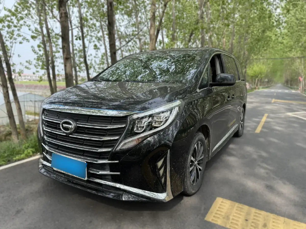 2021 GAC Trumpchi M8 2.0T 252HP L4 8AT