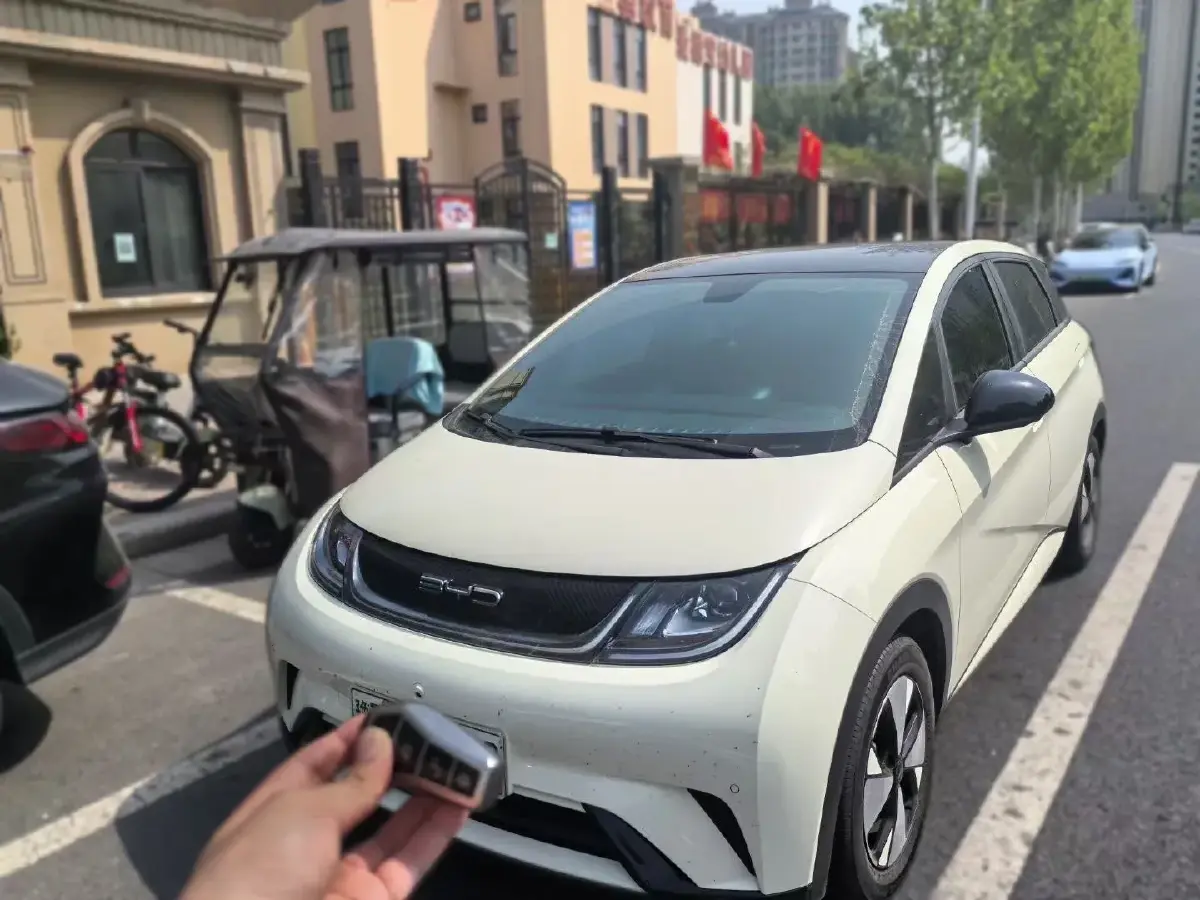 2023 BYD Dolphin BEV 44.928KWH