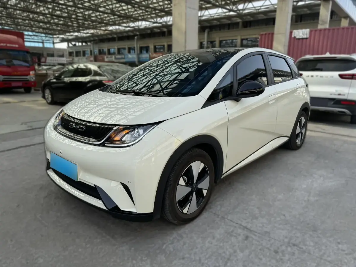2023 BYD Dolphin BEV 44.928KWH