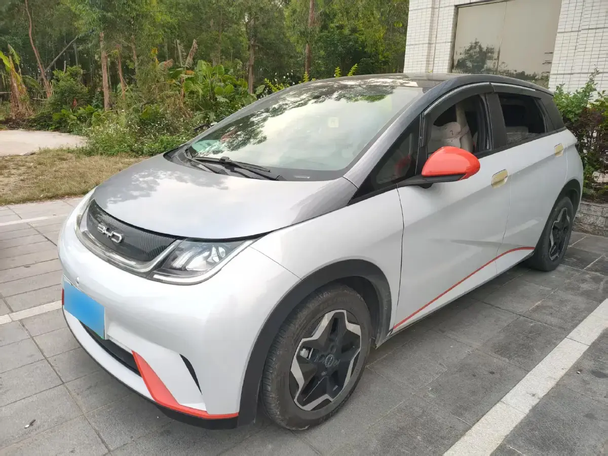 2021 BYD Dolphin BEV 44.9KWH