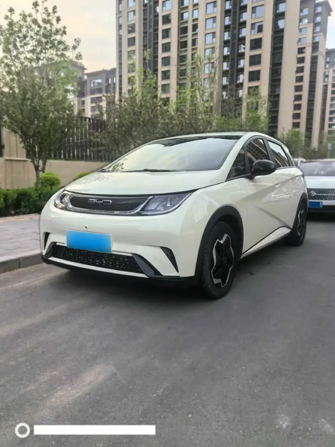 2021 BYD Dolphin BEV 44.9KWH
