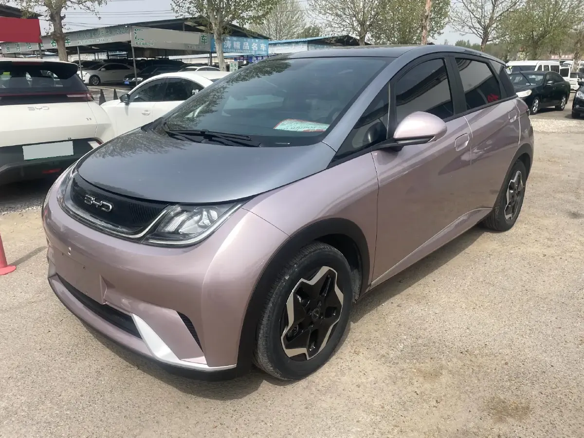 2021 BYD Dolphin BEV 44.9KWH
