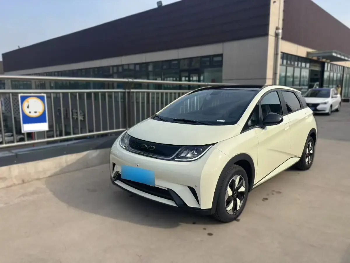 2024 BYD Dolphin BEV 44.928KWH
